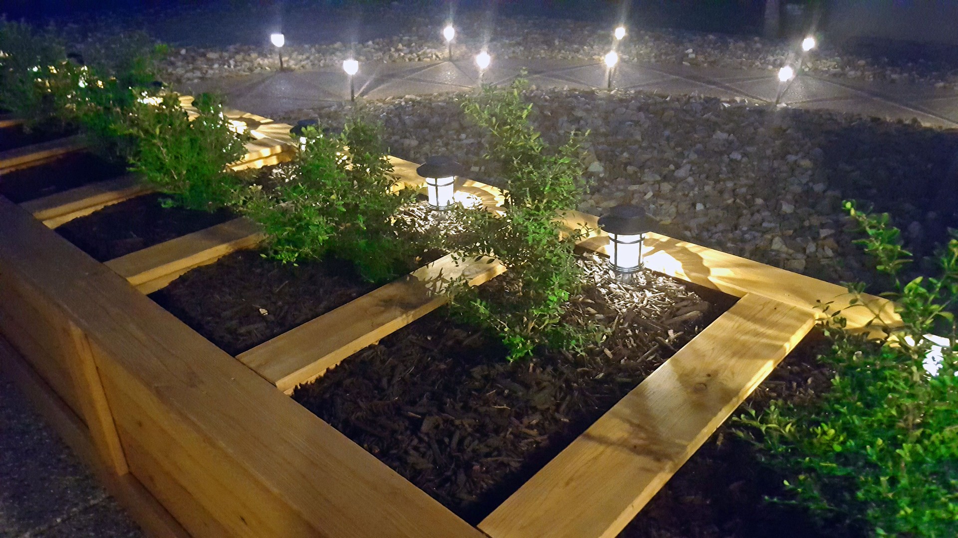 Xeriscaped Residential Landscaping At Night