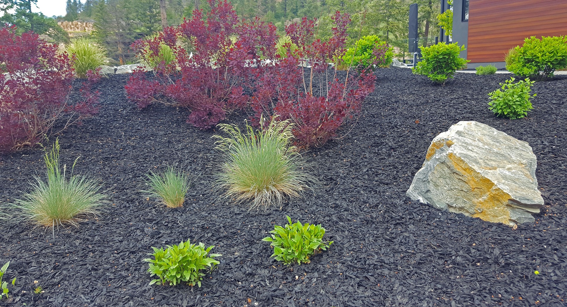 Water Conservation Featured In A Simple Well Designed Xeriscaped Garden